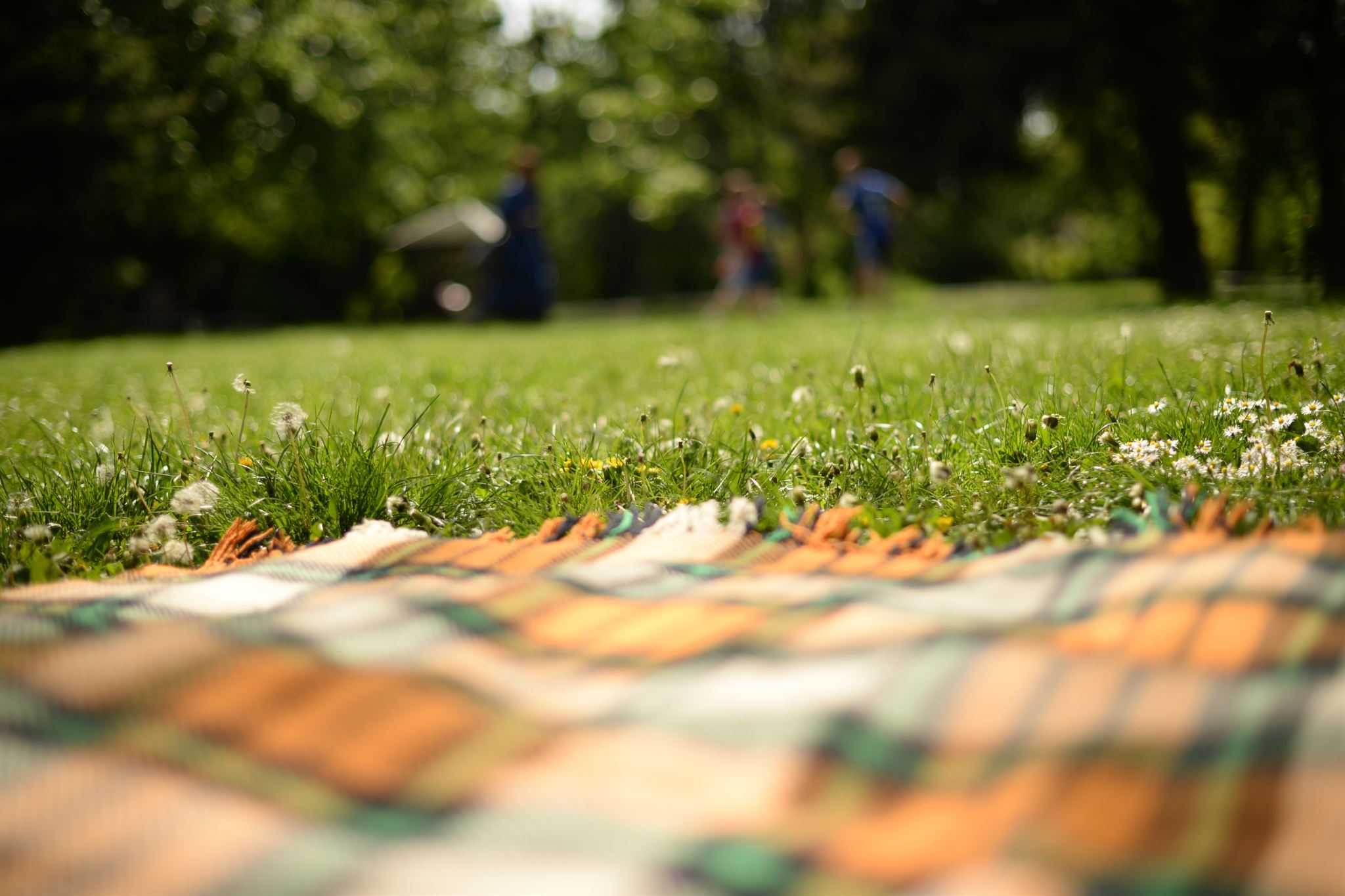 Happy family outdoors on picnic